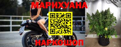 гашик Донецк