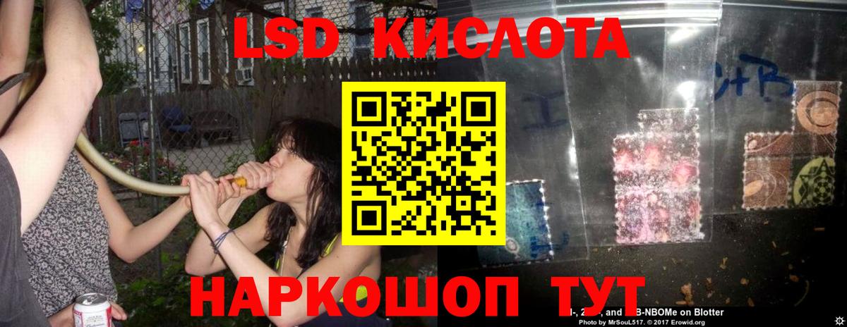 Гай  ЛСД экстази ecstasy  Вход с VPN 