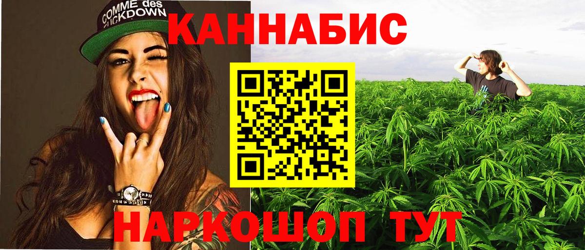 Канабис конопля  Вход с VPN  Гай  Шишки марихуана Bruce Banner  Каннабис Amnesia  Марихуана OG Kush 